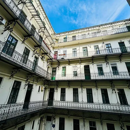 51 * 부다페스트